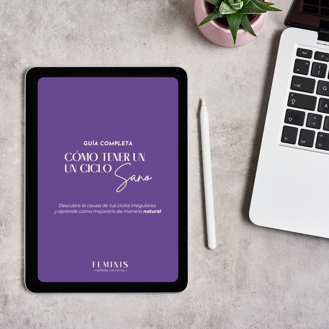 mock up guia del ciclo